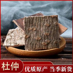 正品杜仲皮老树持久去粗皮男性非雄花茶特级泡酒中药材50g