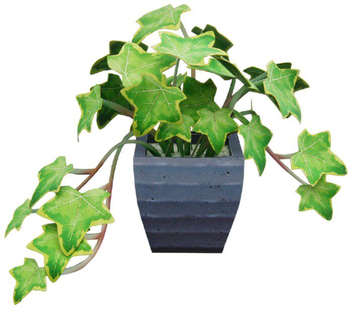 儿童手工折纸diy拼装立体3d纸质模型仿真植物盆景常青藤盆栽吊兰