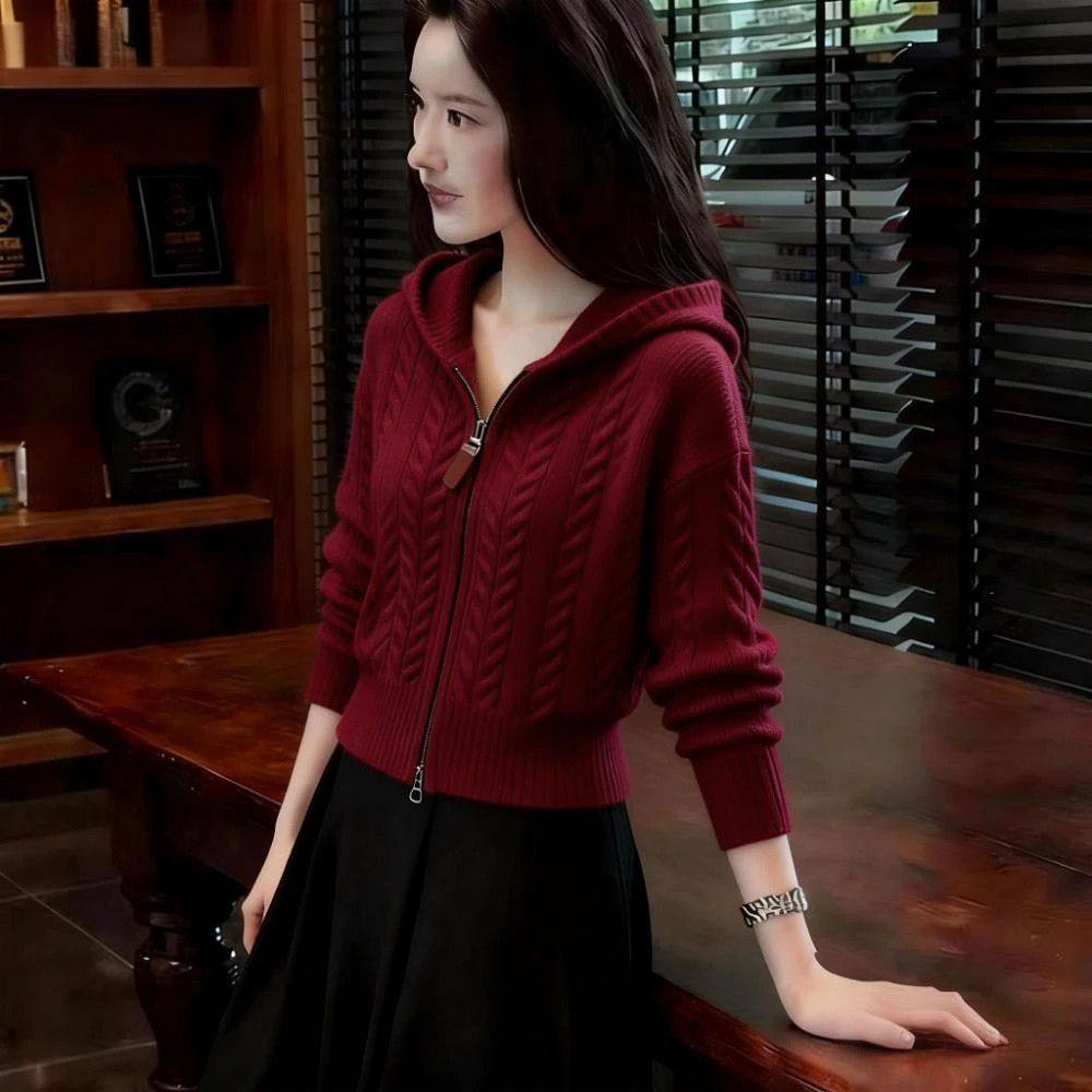 韩系慵懒风针织拉链连帽衫女2025秋冬新款麻花软糯内搭显瘦毛衣女