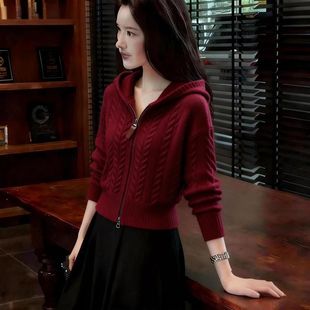 韩系慵懒风针织拉链连帽衫女2025秋冬新款麻花软糯内搭显瘦毛衣女