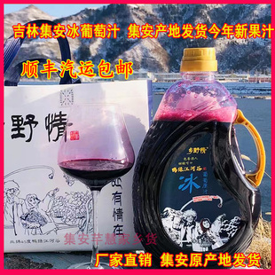 乡野情吉林集安北冰红冰葡萄汁NFC山葡萄长白山鲜榨果汁顺丰包邮