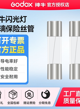 适用于神牛闪光灯闪客600IIM/闪客600DII/DP600III/SK400II常亮补光灯SL200WII/SL150WII/SL60W原装保险丝