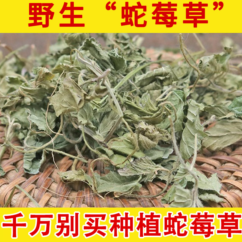 蛇莓中草药500克 蛇莓草野生中药材 蛇泡草 蛇果草 野草莓 地莓草