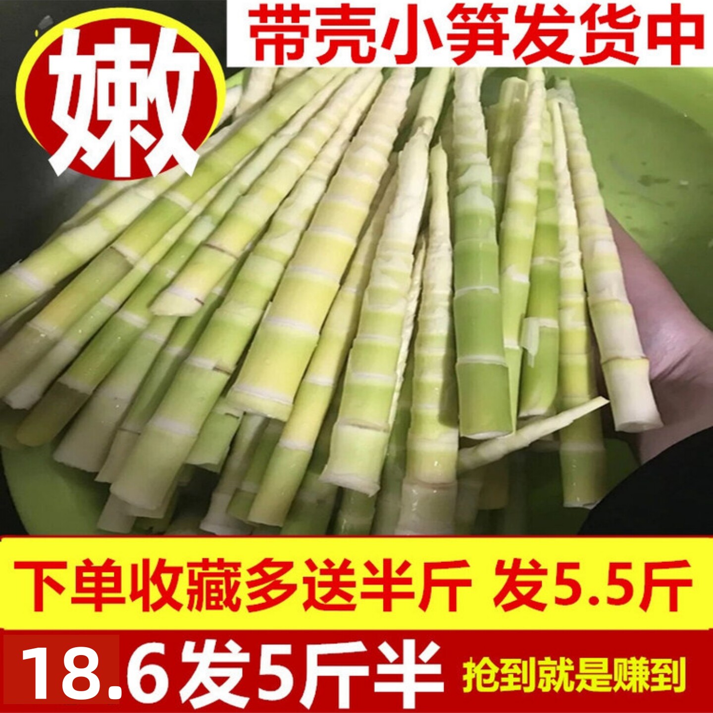 小竹笋新鲜野生江西带壳小春笋非雷笋现挖小笋子水竹笋尖山笋甜笋