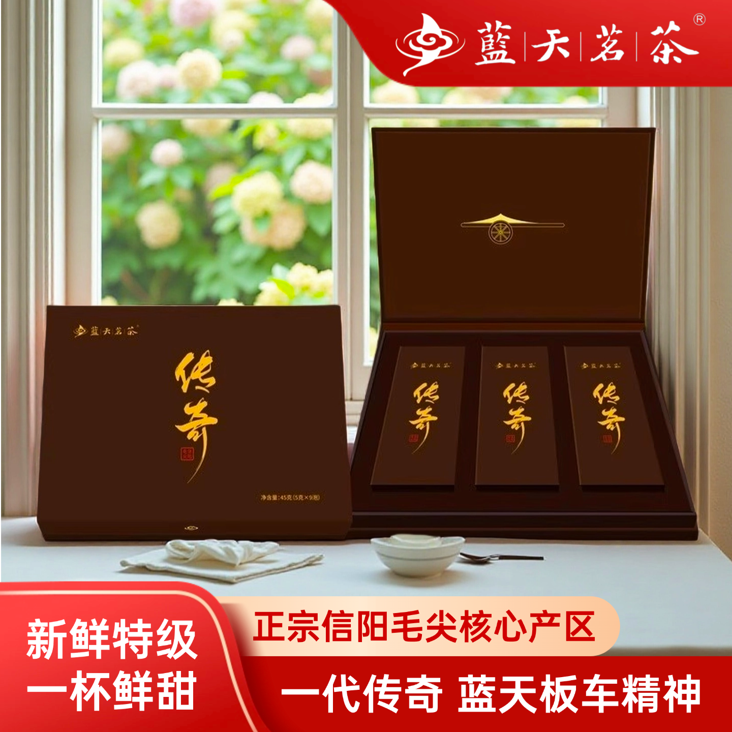 天茗茶2025新茶信阳毛尖明前特级45g礼盒装 尊贵典藏