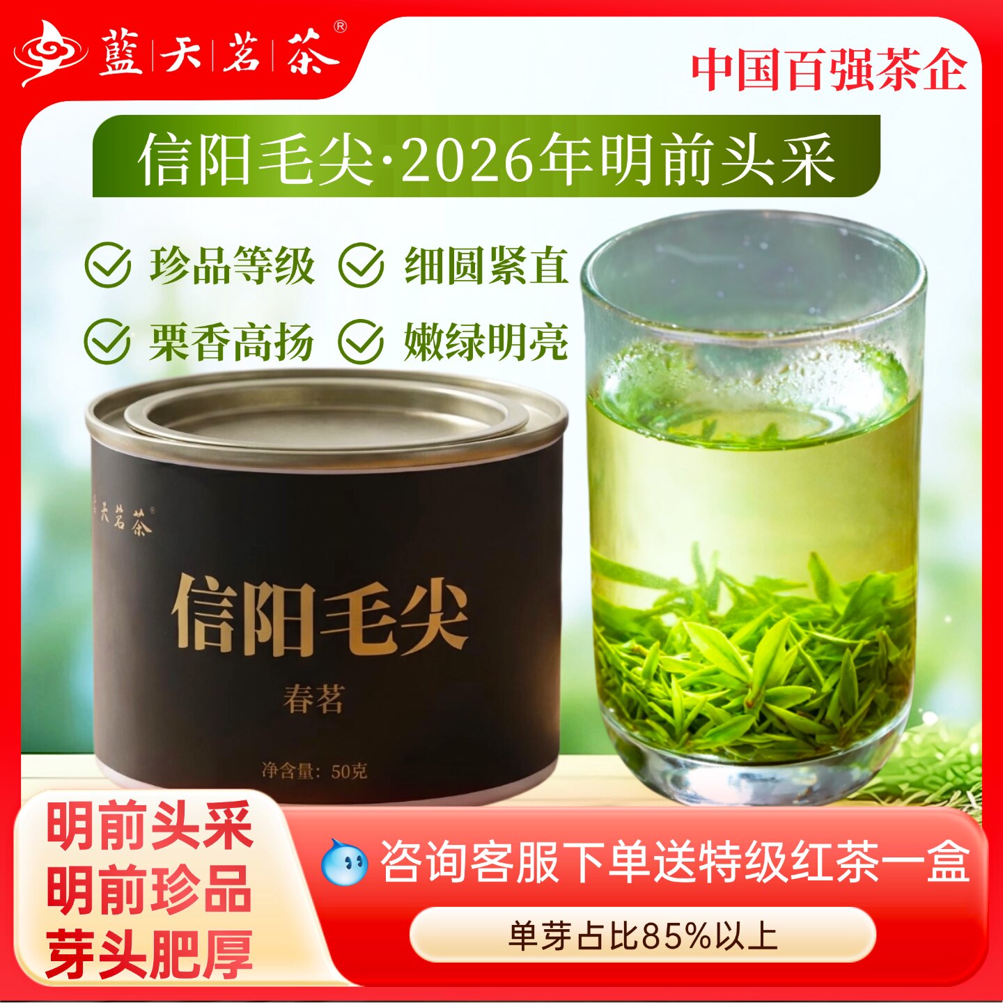 蓝天茗茶2026明前信阳毛尖头采