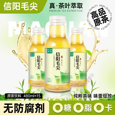 信阳毛尖冷泡茶无糖饮料0卡绿茶