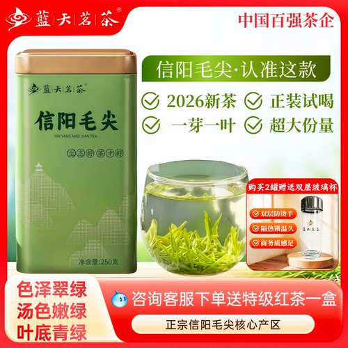 2026年新茶信阳毛尖绿茶雨前一级