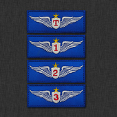 航空飞行员胸章精美刺绣立体效果士气章臂章魔术贴徽章补丁