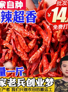 超辣超辣干辣椒500g可代替魔鬼辣椒艳红辣椒免费加工段巨辣海椒