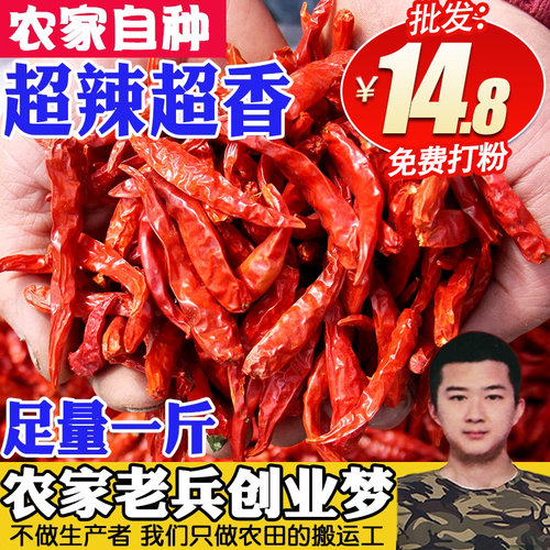 超辣干辣椒500g可代替艳免费加工