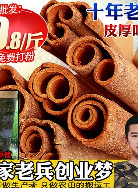 广西桂皮香料干货老树带皮肉桂皮