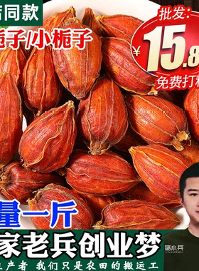 红栀子小桅子全红江西中药材野生山栀子大花栀子500g花草茶泡茶