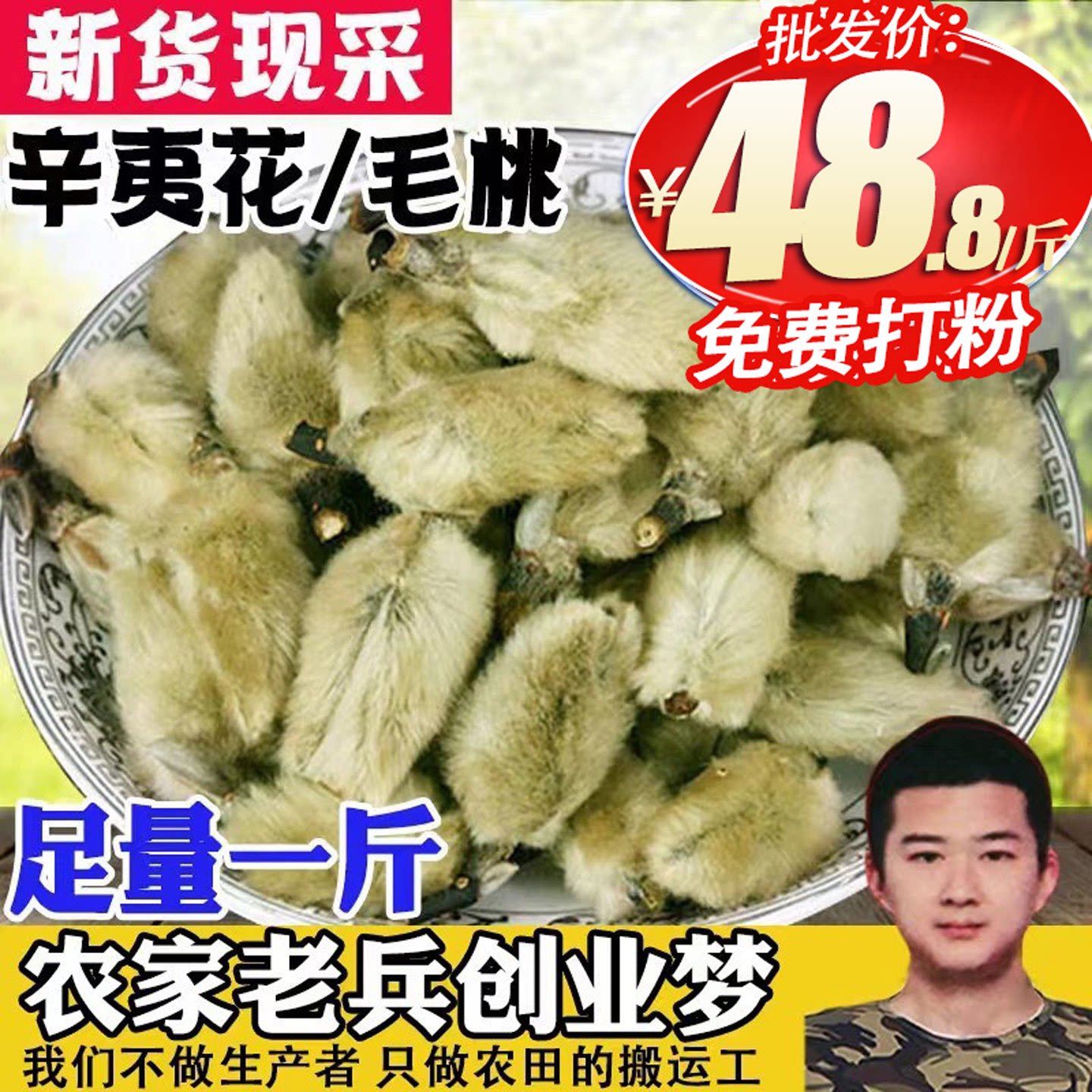 辛夷花毛桃500g玉兰花正品天然特级调味料中药材枕芯泡茶煮蛋包邮