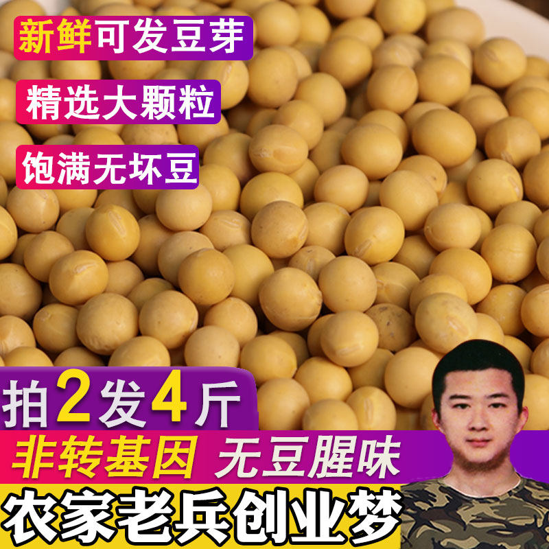 新货黄豆五谷杂粮非转基因黄豆打豆浆专用黄豆农家自种黄豆大黄豆