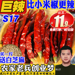 魔鬼椒超辣朝天椒500g干辣椒特辣辣椒干变态辣辣椒粉面正宗印度椒