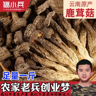 鹿茸菇干货500g鹿茸菌云南特产脆脆菇特级食用菌煲汤炖鸡干货食材