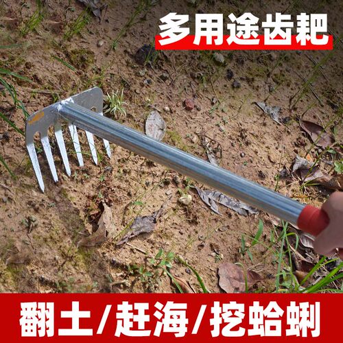 赶海耙子挖蛤蜊挖螺挖沙松土扒子铁耙钢耙锄地家用除草锄耙十齿钉