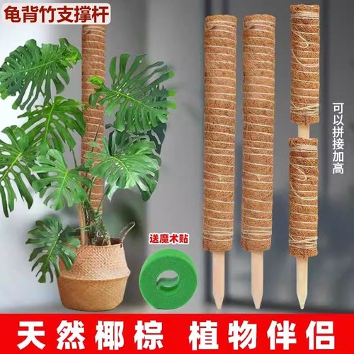 龟背竹支撑杆绿箩攀爬柱椰棕棒固定架植物爬藤花架棕榈皮椰丝支架