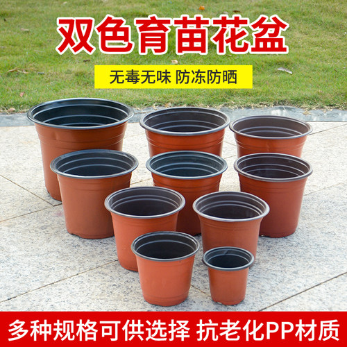 多肉种植塑料盆摔不坏园艺双色杯