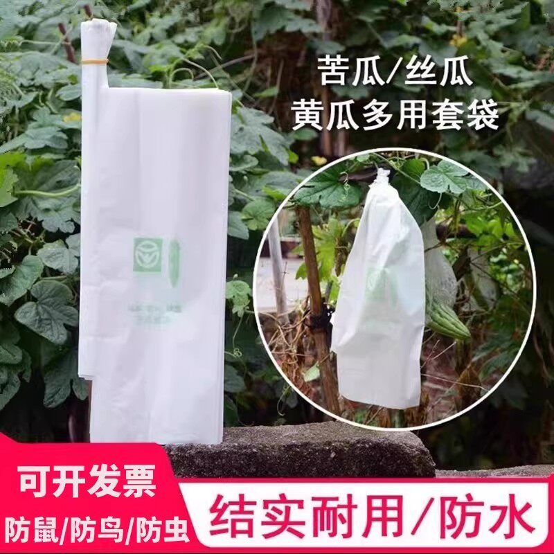 丝瓜黄瓜青瓜苦瓜套袋专用袋防虫袋子保护套纸袋防水瓜果蔬菜水果