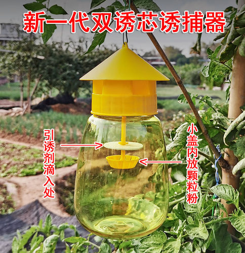 菜地瓜果实蝇针蜂内含诱捕器