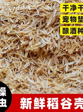 新鲜东北稻谷壳批发粗糠米糠喂鸡宠物饲鸡料垫料枕头防震填充酿酒
