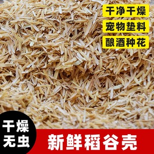 新鲜东北稻谷壳批发粗糠米糠喂鸡宠物饲鸡料垫料枕头防震填充酿酒