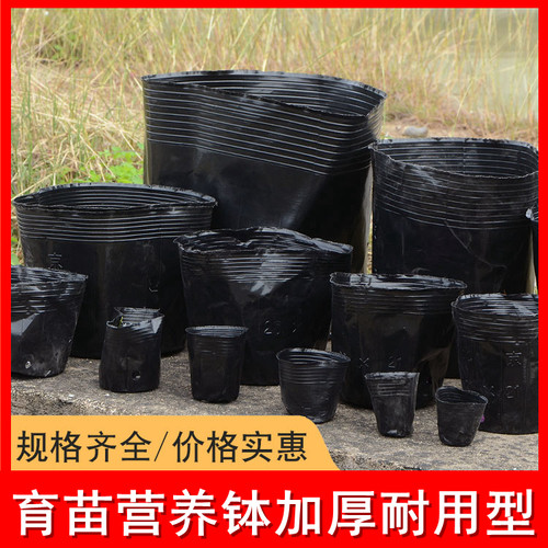 一次性花盆营养钵育苗袋