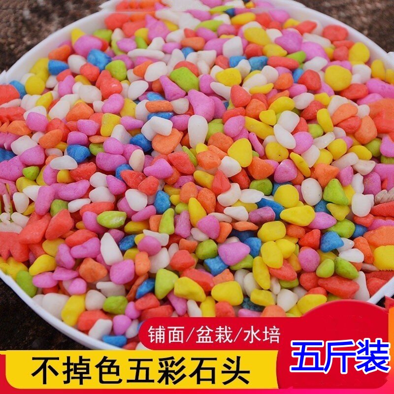 彩石水培鱼缸花盆装饰砂多肉植物