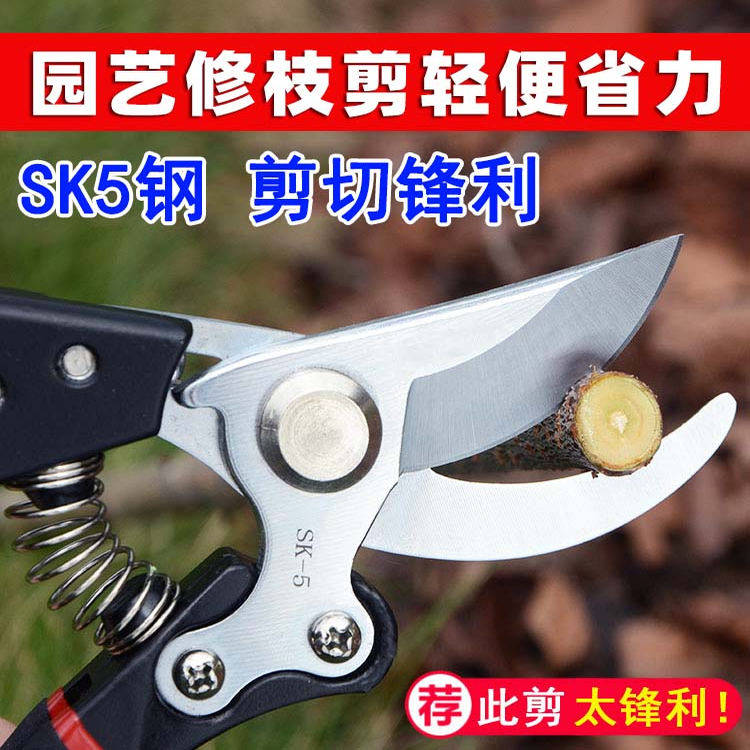 高硬度钢粗枝剪省力修枝剪刀园艺修花木果树嫁接园林剪农用工具