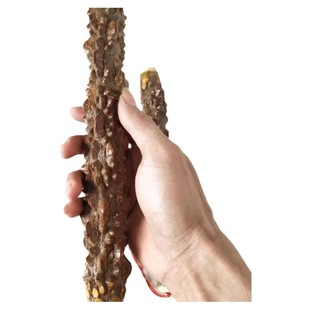 花椒木原木棍敲背花椒棒杠手把件按摩棒天然野生花椒杠练功棍敲背