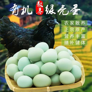 有机江西农家高山散养土鸡乌鸡绿壳初产土鸡蛋宝宝蛋