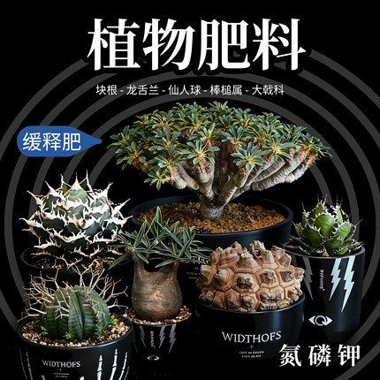 植物缓释肥料颗粒块根龙舌兰龟甲龙象芽宫专用营养元素补充