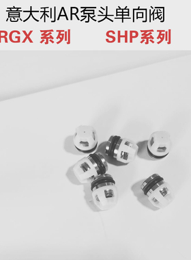 意大利AR高压泵头单向阀RGX22.50配件SHP22.50进出水阀门43408