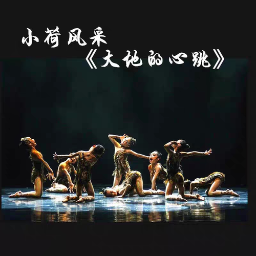 第十三届小荷风采大地的心跳儿童舞蹈演出服艺术节