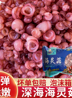 延边啤酒菜辣炒海灵菇400g下饭章鱼足新鲜冷冻鱿鱼海鲜火锅食材