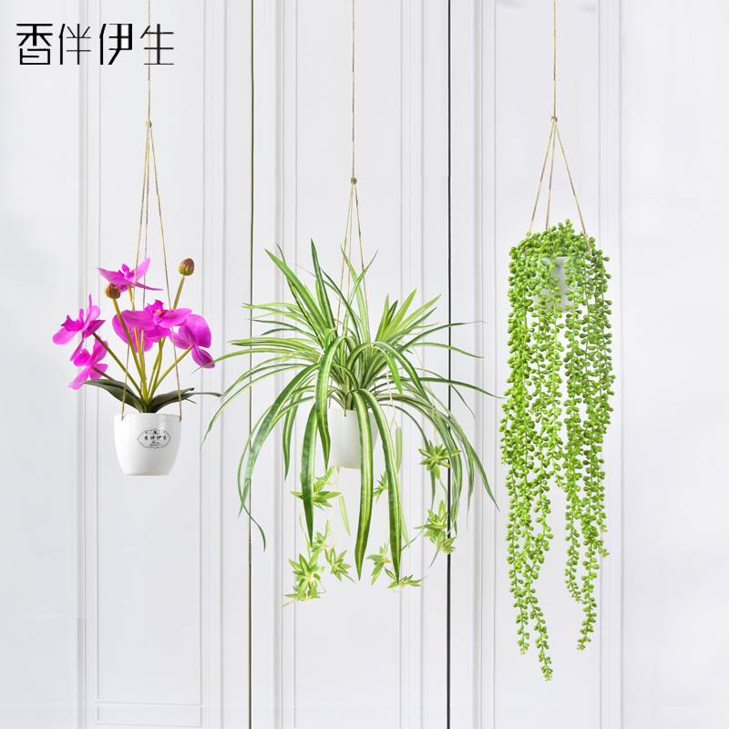 装饰房间悬挂空中顶上垂吊花盆