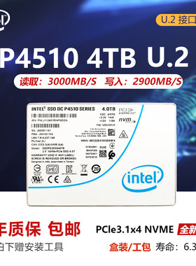 Intel英特尔P4510固态硬盘U.2