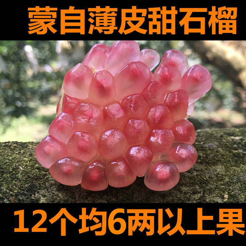 蒙自石榴12个装（小包装）蒙自石榴