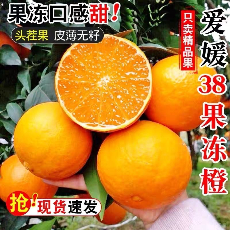 四川正宗爱媛38号果冻橙新鲜橙子5斤9斤原生态当季水果老品种整箱