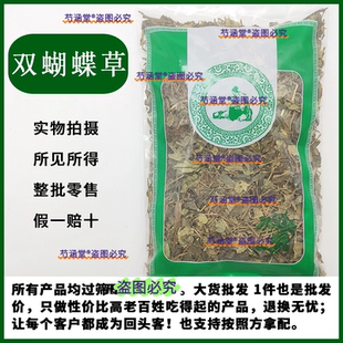 肺形草肺形草 蝴蝶草 双蝴蝶 铁板青 穿藤金兰花山蝴蝶草花蝴蝶草