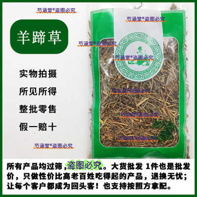 一点红中草药叶下红中药材羊蹄草新鲜晒干红叶草红背叶紫背草磨粉