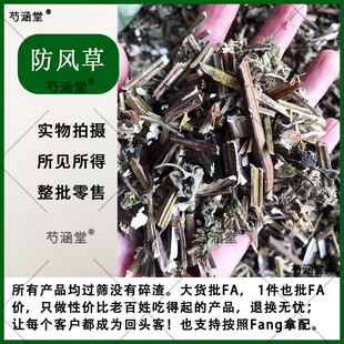 防风草广防风落马衣叶土防风草排风草土藿香抹草干品四方茎 臭苏