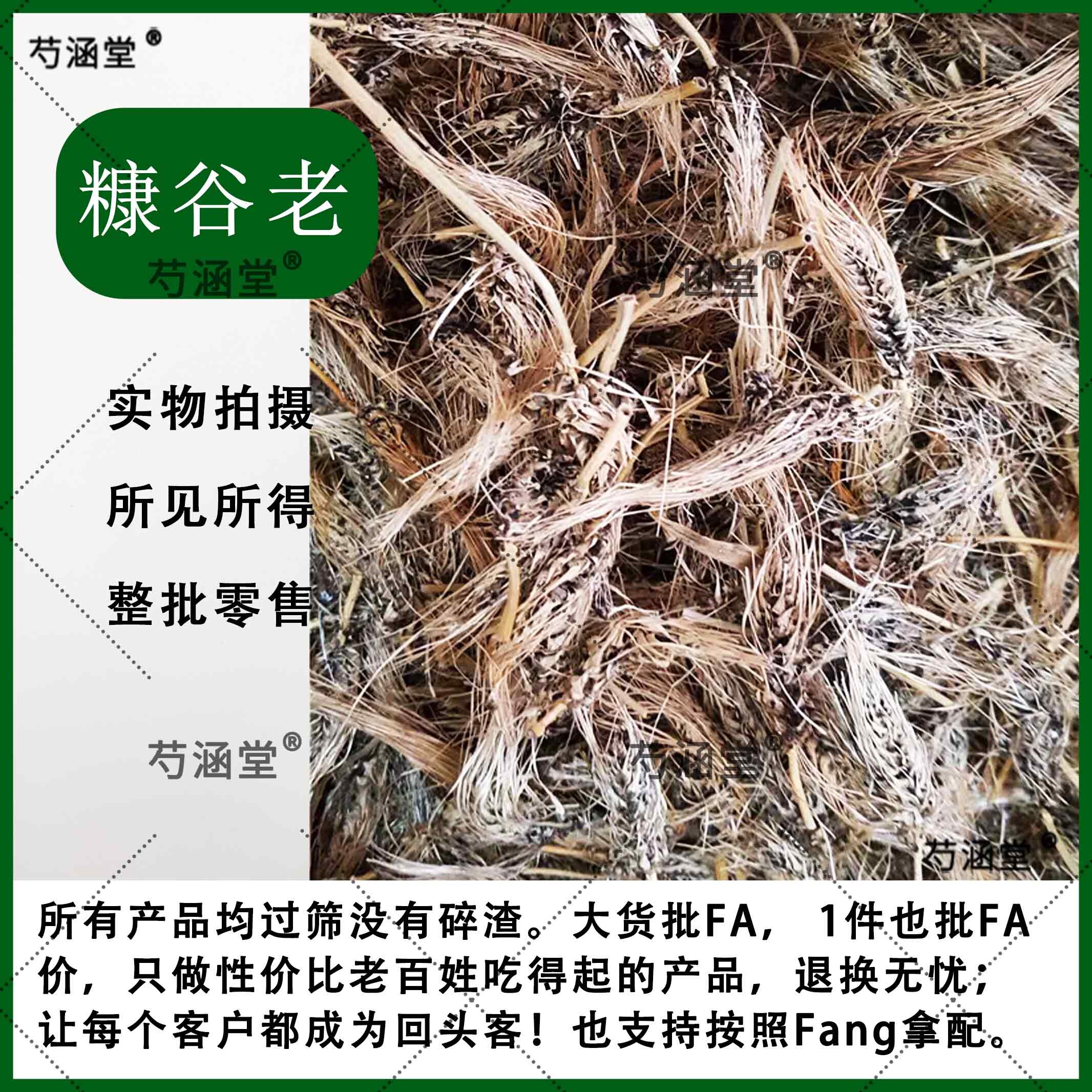 中药材 正品糠谷老 看谷老老谷穗老枪谷粟奴禾梗霉粟白发菌粟白发图片