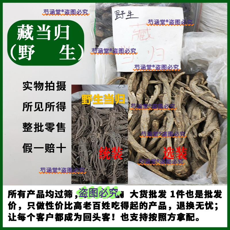 西藏林芝野生藏当归海拔3000米强紫外线自然晒干纯天然无硫磺当归