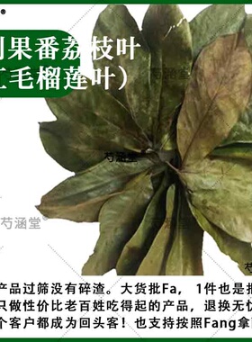 刺果番荔枝干叶子茶红毛榴莲干叶子茶Graviola叶soursop茶叶包邮