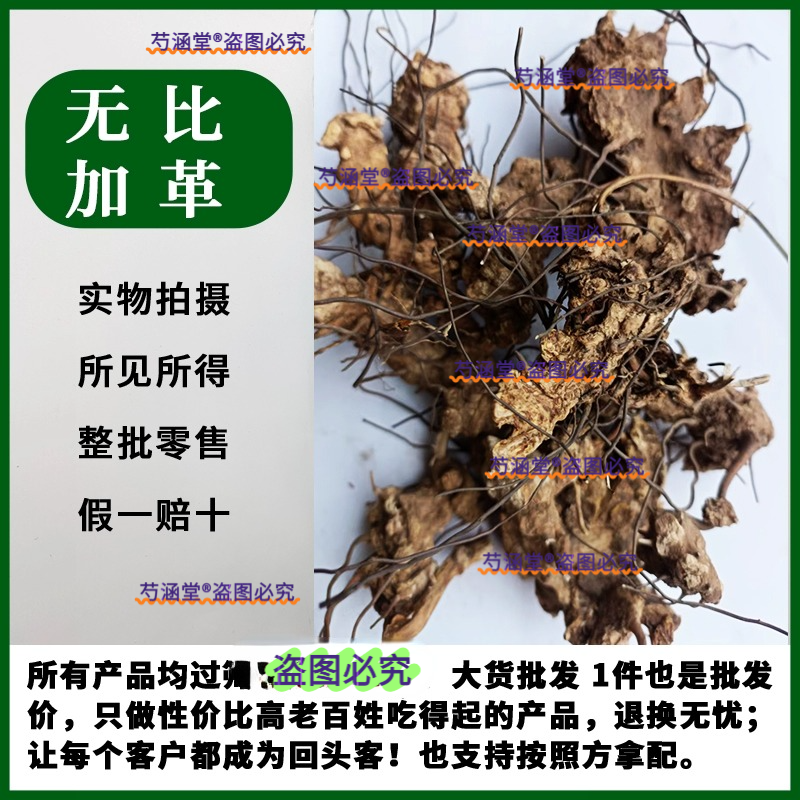 正宗野生无比加革正品特级新货无硫男性养生滋补泡水泡酒料500g