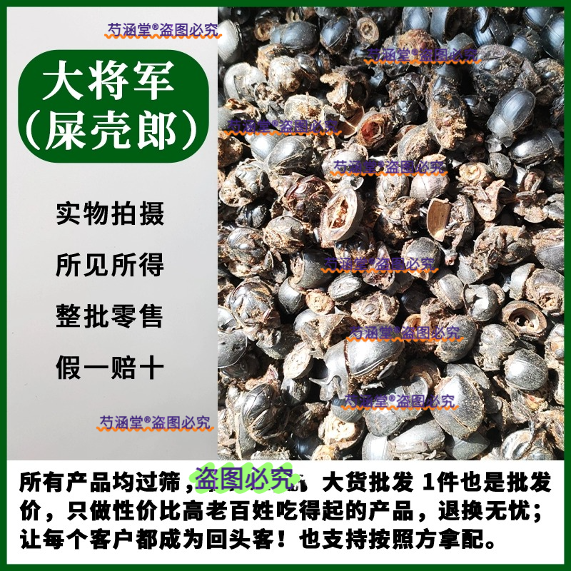 正品新货蜣螂中药材100克 野生屎壳郎 圣甲虫 大将军 清水蜣螂虫