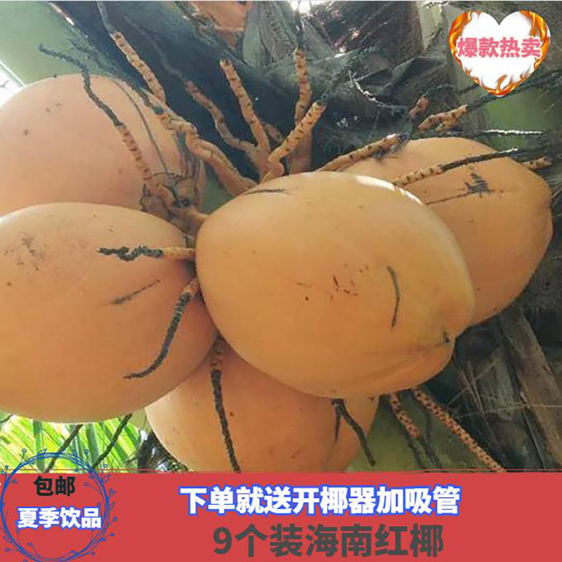 包邮带皮新鲜红椰椰子现货装9个清香可口味道浓郁加米啰